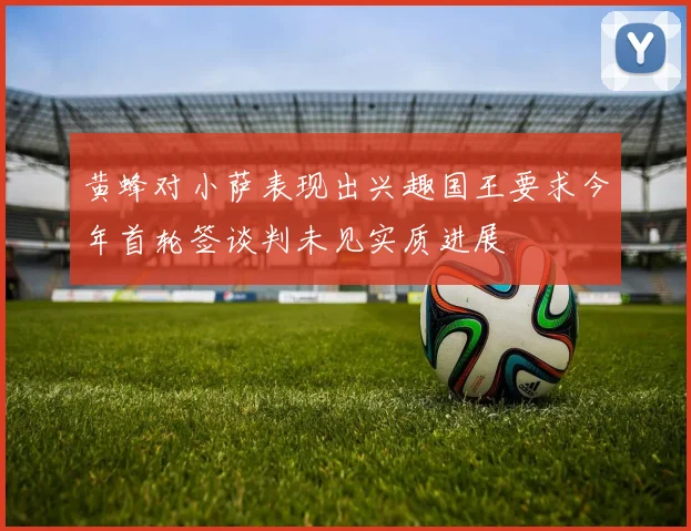 黄蜂对小萨表现出兴趣国王要求今年首轮签谈判未见实质进展